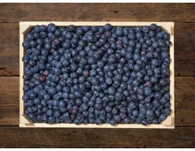 Heidelbeeren