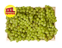 Helle Trauben XXL
