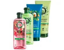 HERBAL ESSENCES Shampoo/Spülung