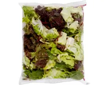 Herbstsalat