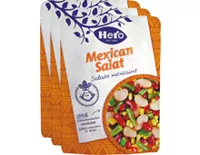 Hero Mexican Salat