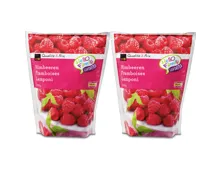 Himbeeren 2x 500g