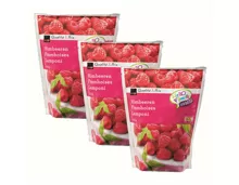 Himbeeren 3x 500g