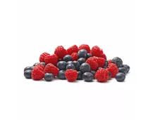 Himbeeren & Heidelbeeren 2x250g