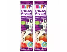 Hipp Früchte Freund Riegel Himbeere Banane & Apfel 12+ Monate 2x 23g