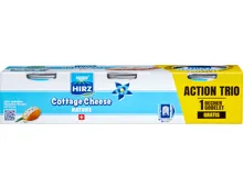 Hirz Hüttenkäse Nature