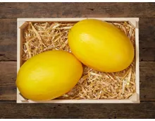 Honigmelonen
