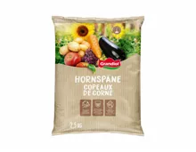 Hornspäne