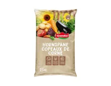 Hornspäne