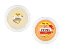 Hummus XXL