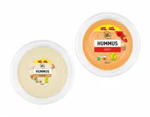 Hummus XXL