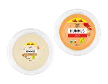 Hummus XXL