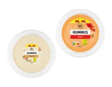 Hummus XXL