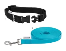 Hundehalsband mit Leine/Schleppleine