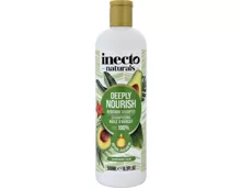 Inecto Naturals Shampoo Avocado 500 ml