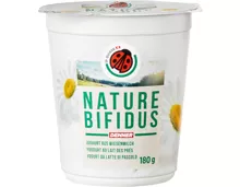 IP-SUISSE Joghurt Nature Bifidus