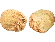 IP-SUISSE Knollensellerie