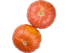 IP-SUISSE Kürbis Hokkaido