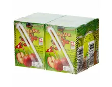 JaMaDu Apfelsaft 4x20cl