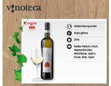 JANARE SENETE Falanghina del Sannio DOP
