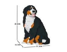 Jekca Berner Sennenhund