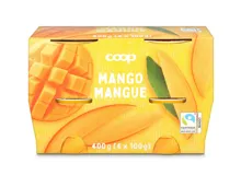 Joghurt FSI Mango 4x100g