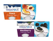 Joghurt Griechischer Art