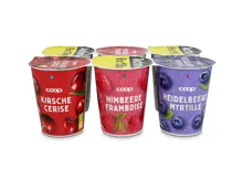 Joghurt Heidelbeer Himbeer & Kirsche 6x180g
