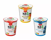 Joghurt Nur 3 Zutaten (Aktion nur in der Deutschschweiz gültig)