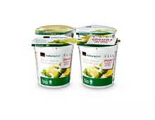 Jogurt des Monats: Coop Naturaplan Bio-Jogurt Zitrone-Melisse