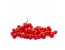 Johannisbeeren