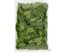 Jungspinat
