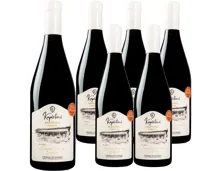 Kachetien Rkatsiteli Kapistoni Winery 6x 75cl (2019) – Weisswein, Georgien (0.75l)