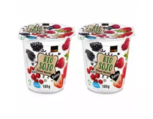 Karma Bio Sojo Waldbeeren 2x180g