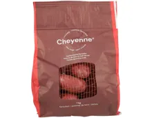 Kartoffeln Cheyenne