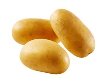 Kartoffeln festkochend