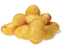Kartoffeln festkochend neue Ernte