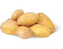 Kartoffeln mehligkochend