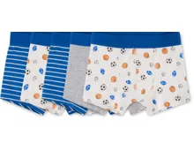 Kinder-Boxer