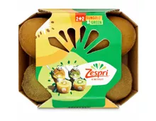 Kiwi mix 4 Stück