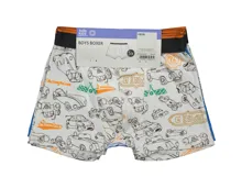 Knaben-Boxershorts Auto & Ameisenbär, 5 Stück blau
