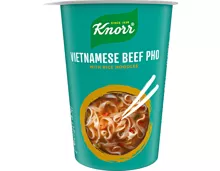 Knorr Premium Asia Noodles Vietnamese Beef Pho