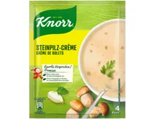 Knorr Steinpilz