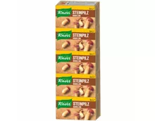 Knorr Steinpilzbouillon 5x20g