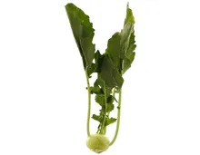 Kohlraben 1 Stück
