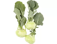 Kohlrabi