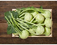 Kohlrabi