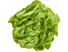 Kopfsalat