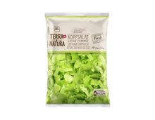 Kopfsalat