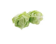 Kopfsalat Herzen